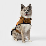 Medium Shinola Dog Coat // Brown