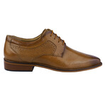 Donald  // Mens Eel Print Knitted Design Dress Shoes // Tan (US: 6)