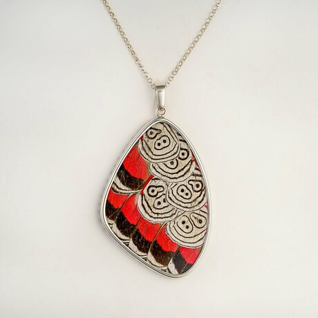 Genuine Eighty-Eight Butterfly Wing Pendant with 18" Sterling Silver Necklace