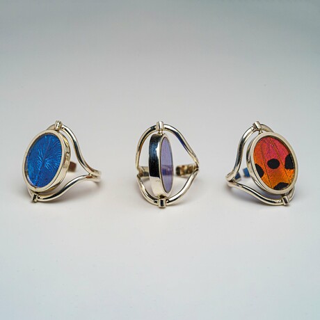 Genuine Blue Morpho and Madagascan Sunset Wing in Sterling Silver Ring (changeable face)