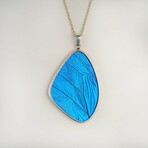 Genuine Blue Morpho Butterfly Wing Pendant with 18" Sterling Silver Necklace