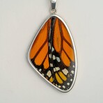 Genuine Monarch Butterfly Wing Pendant with 18" Sterling Silver Necklace