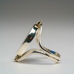 Genuine Blue Morpho and Madagascan Sunset Wing in Sterling Silver Ring (changeable face)