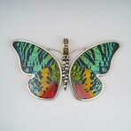 Genuine Madagascan Sunset Butterfly Wing Pendant with 18" Sterling Silver Necklace v.1