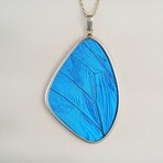 Genuine Blue Morpho Butterfly Wing Pendant with 18" Sterling Silver Necklace