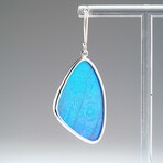 Genuine Blue Morpho Butterfly Wing Earring