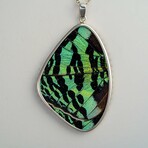 Genuine Madagascan Sunset Butterfly Wing Pendant with 18" Sterling Silver Necklace v.2