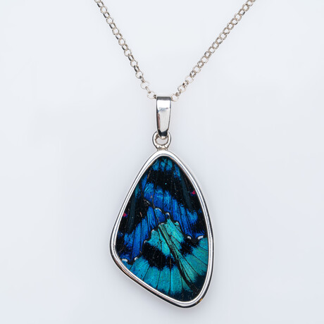 Genuine Small Meliboeus Swordtail Butterfly Wing Pendant with 18" Sterling Silver Necklace