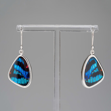 Genuine Meliboeus Swordtail Butterfly Wing Earring