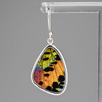 Genuine Madagascan Sunset Butterfly Wing Earring v.3