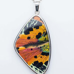 Genuine Madagascan Sunset Butterfly Wing Pendant with 18" Sterling Silver Necklace v.3