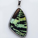 Genuine Madagascan Sunset Butterfly Wing Pendant with 18" Sterling Silver Necklace v.4