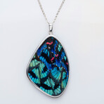 Genuine Large Meliboeus Swordtail Butterfly Wing Pendant with 18" Sterling Silver Necklace