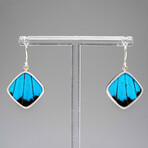 Genuine Ulysses Emperor Butterfly Wing Earring v.3