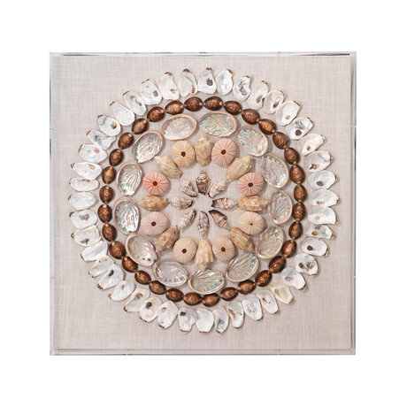 Marin Acrylic Wall Art // Multi-Colored Shells