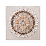 Marin Acrylic Wall Art // Multi-Colored Shells