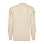 Men's Polo Collar Long Sleeve Sweater // Beige (S)