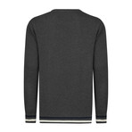 Men's Crew Neck Cotton Sweater // Antracite (L)