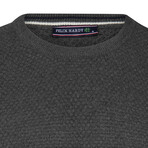 Men's Crew Neck Cotton Sweater // Antracite (M)