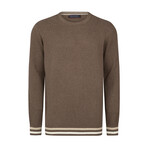 Men's Crew Neck Cotton Sweater // Brown (L)