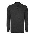 Men's Polo Collar Long Sleeve Sweater // Antracite (XL)