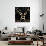 Young Buck Print on Acrylic Glass by Liz Jardine (24"H x 24"W x 0.25"D)