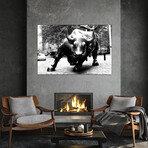 Wall Street Bull Black & White Print on Acrylic Glass by Unknown Artist (24"H x 16"W x 0.25"D)