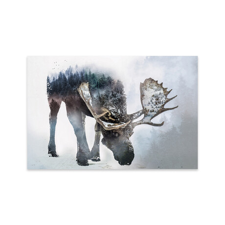 Nature Moose Print on Acrylic Glass by Paul Haag