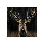 Young Buck Print on Acrylic Glass by Liz Jardine (24"H x 24"W x 0.25"D)