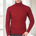 Striped Turtleneck Sweater // Burgundy (M)