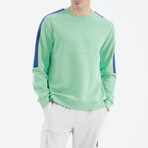 Crewneck Arm Detail Sweatshirt // Water Green (S)