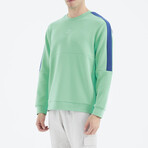 Crewneck Arm Detail Sweatshirt // Water Green (S)