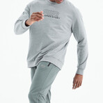 Crewneck Sweatshirt with Large Logo // Gray Melange (S)