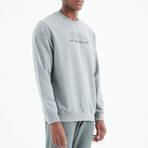 Crewneck Sweatshirt with Large Logo // Gray Melange (S)