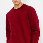 Crewneck Sweatshirt // Red (S)