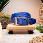 Ostrich Leather Belt // Electric Blue (44)