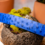 Ostrich Leather Belt // Electric Blue (36)