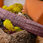 Crocodile Leather Belt // Wine (44)