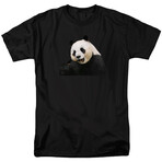 Panda (3XL)