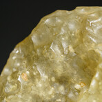 Genuine Natural Libyan Desert Glass // 100 g  in Display Box