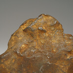 Genuine Natural Sikhote-Alin Meteorite from Russia // 321.4 g