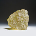 Genuine Natural Libyan Desert Glass // 119.5 g  in Display Box