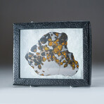 Genuine Natural Seymchan Pallasite Meteorite Slab in display box