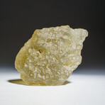 Genuine Natural Libyan Desert Glass // 119.5 g  in Display Box