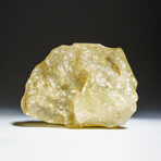 Genuine Natural Libyan Desert Glass // 100 g  in Display Box