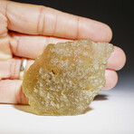 Genuine Natural Libyan Desert Glass // 119.5 g  in Display Box