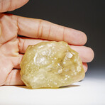 Genuine Natural Libyan Desert Glass // 100 g  in Display Box