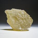 Genuine Natural Libyan Desert Glass // 119.5 g  in Display Box