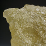 Genuine Natural Libyan Desert Glass // 119.5 g  in Display Box