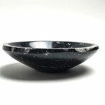 Orthoceras Fossil Bowl Round // Small